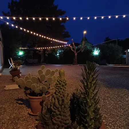 D'angela San Pietro in Bevagna